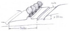 Sc-Subs situation D