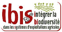 logo IBIS