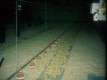 U2_Housing_Transport_Broilers_7