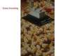 U2_Housing_Transport_Broilers_8