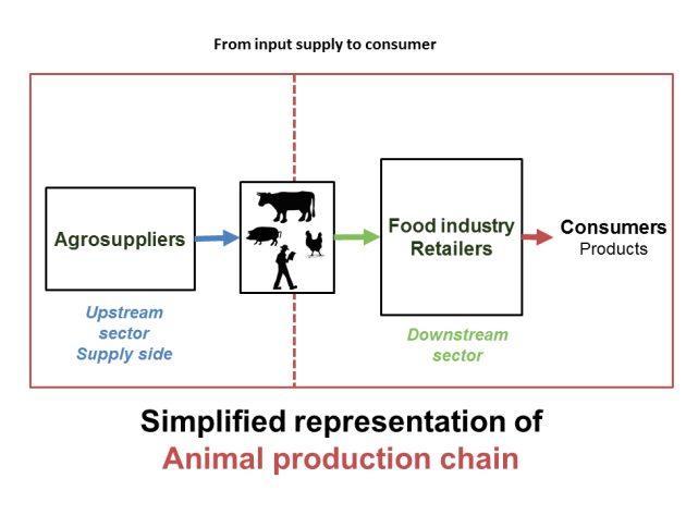 Precision Livestock Farming : Suppliers e-course - What is an animal  production chain ?